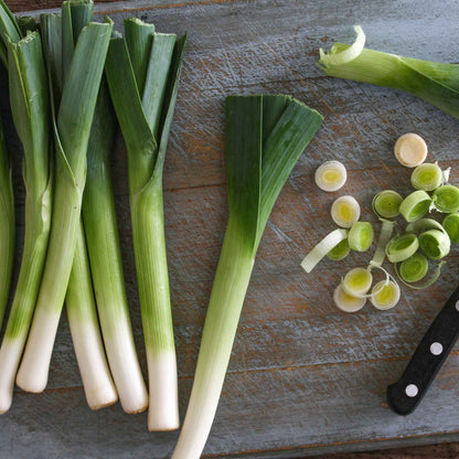 A close-up of a single 'Early Giant' leek with a white stalk and green leaves on a dark background.