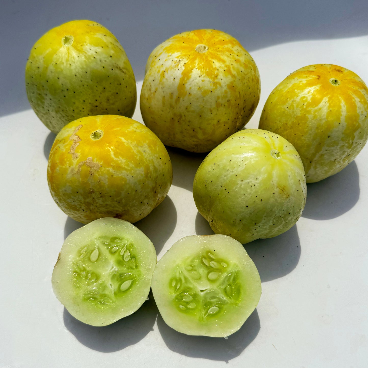 Lemon Cucumber