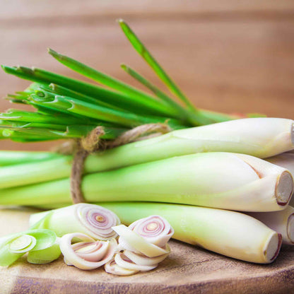 Close-up of cut green lemongrass stalks with slender, blade-like leaves and sturdy, pale stalks.