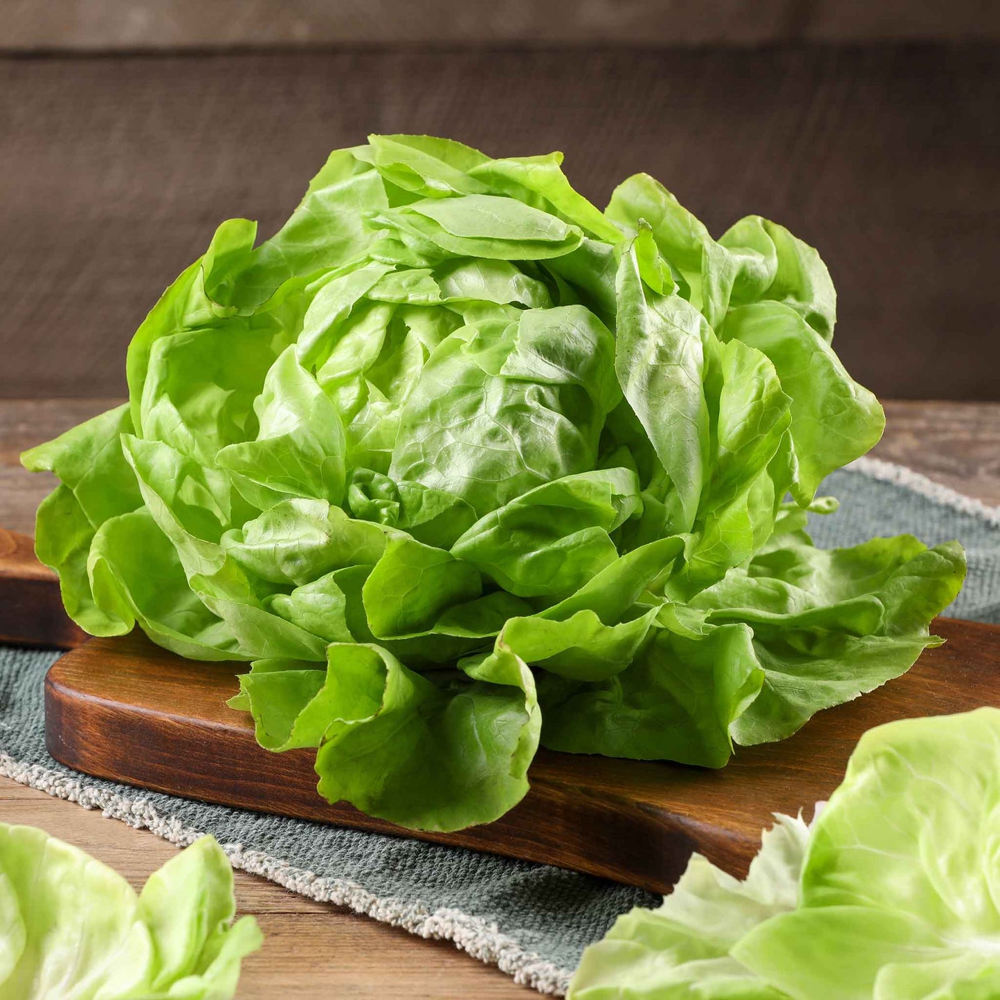 A close-up shot of a single Bibb lettuce head with vibrant green, crinkled leaves.
