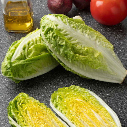 A close-up of a vibrant green little gem lettuce plant showing the lengthy body and vibrant insides.