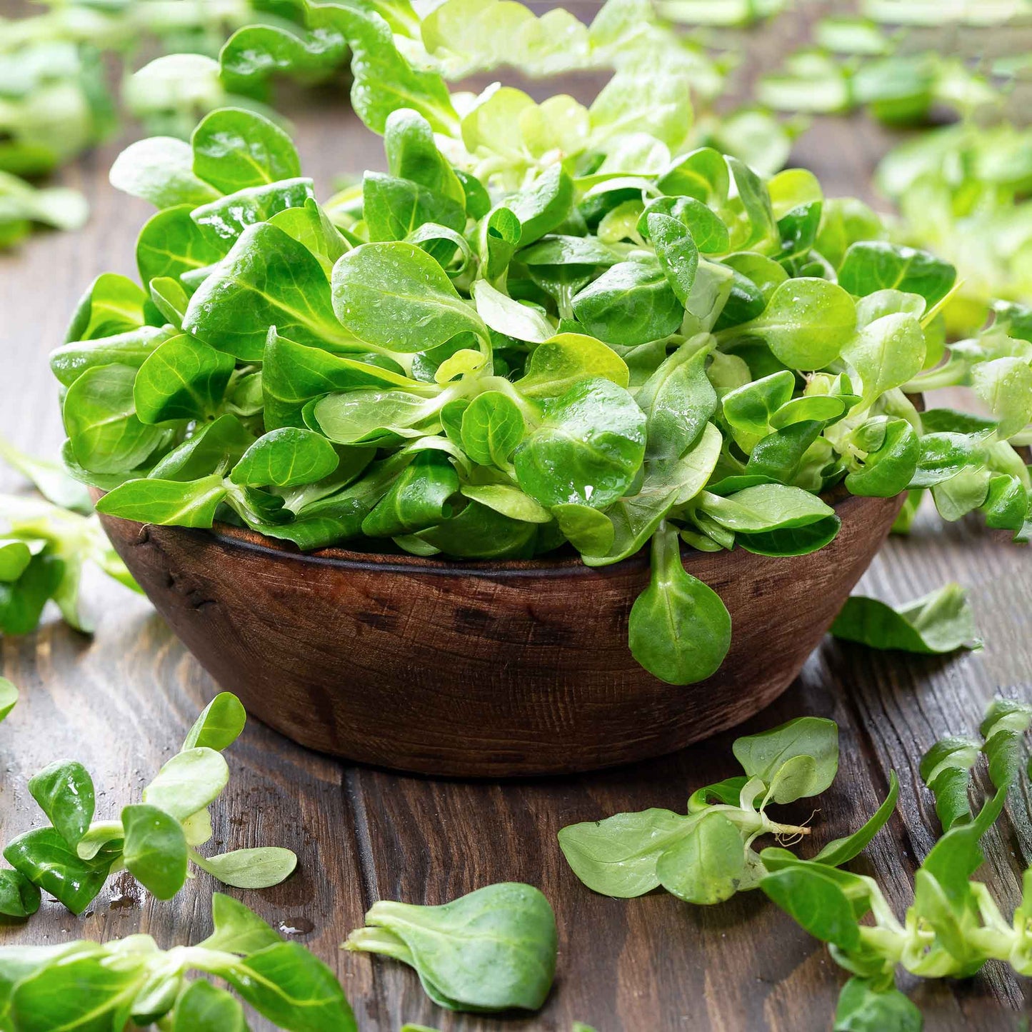 A wooden bowl of Mache corn salad lettuce leaves on a wooden surface.