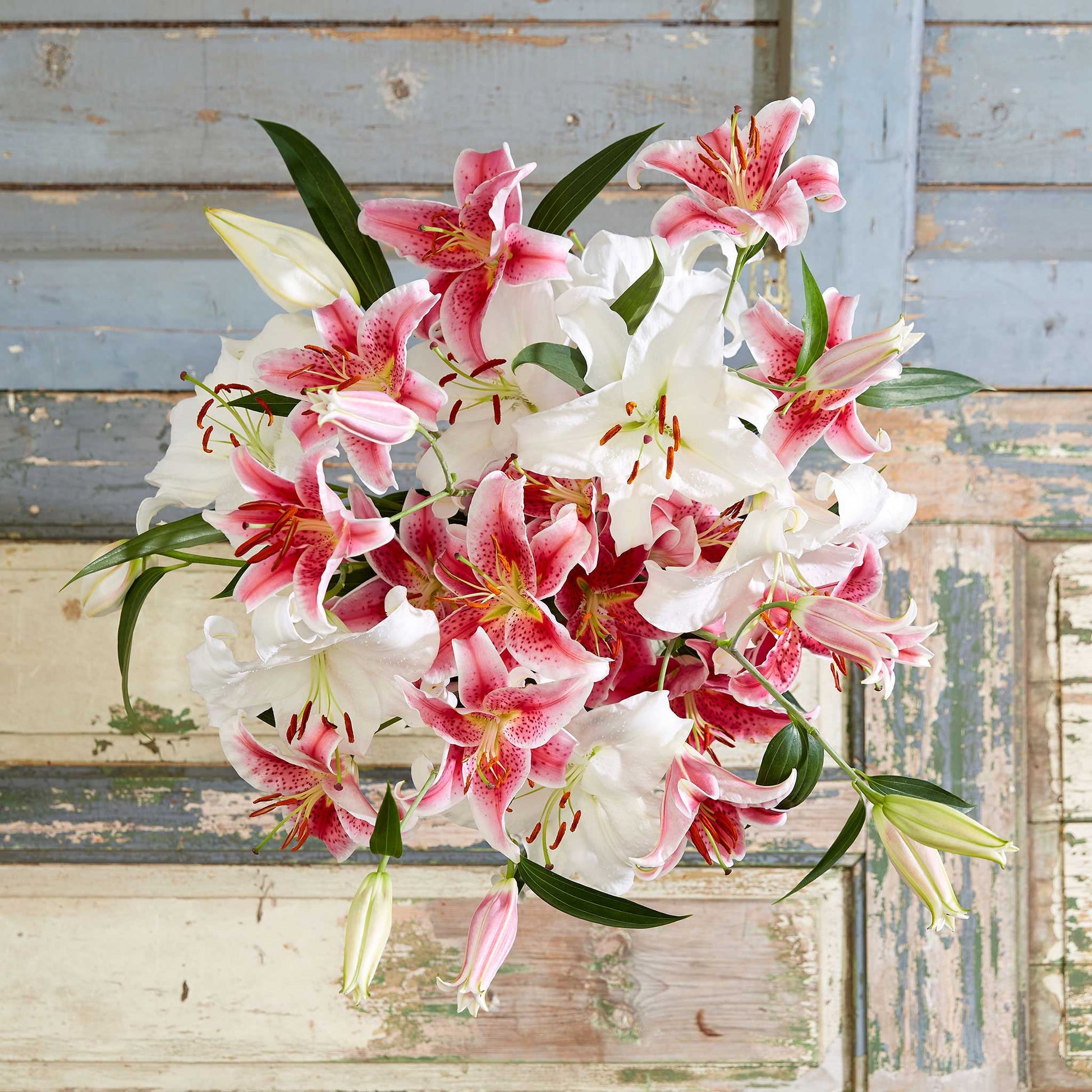 Bouquet of white casablanca and pink stargazer lily mix with green foliage in a bright setting.