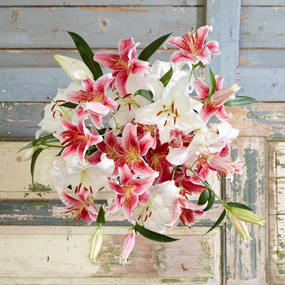 Bouquet of white casablanca and pink stargazer lily mix with green foliage in a bright setting.