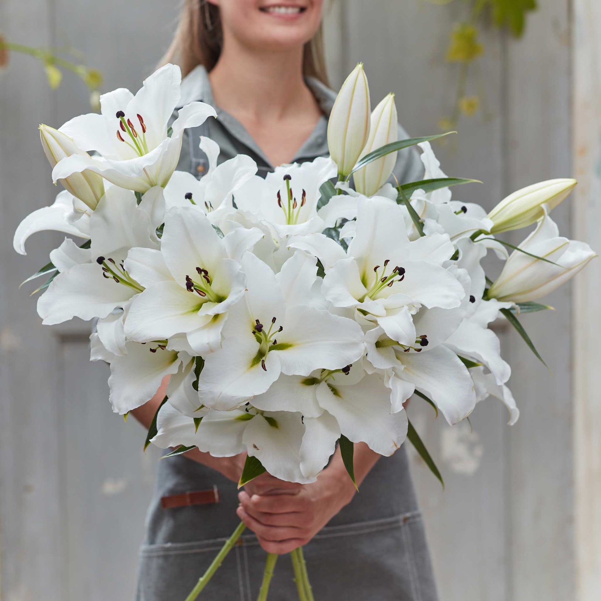 White lily giant ot zambesi blooms held close-up against a blurred background.