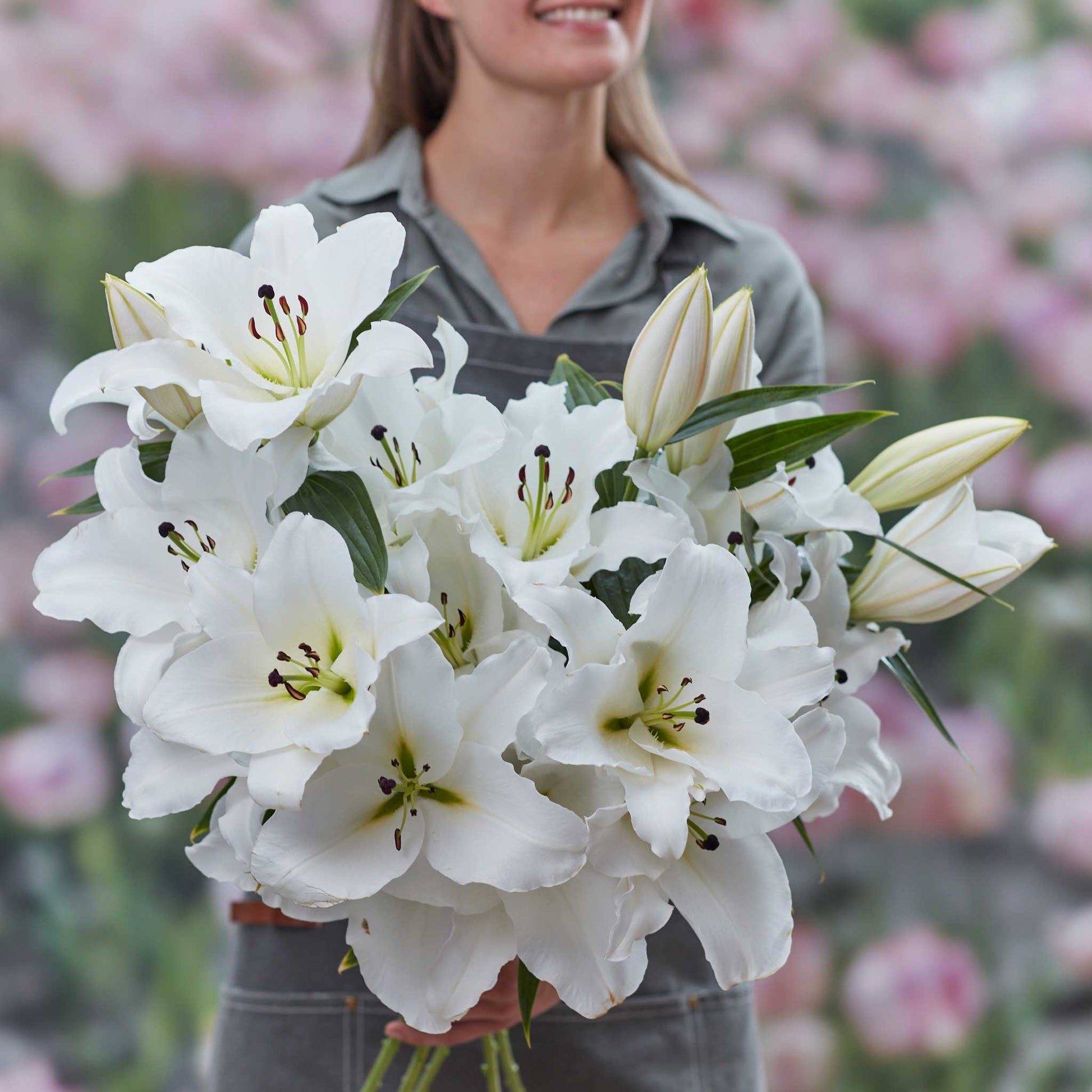 Pink lily zambesi with a yellow center and stamens against a blurred green background.