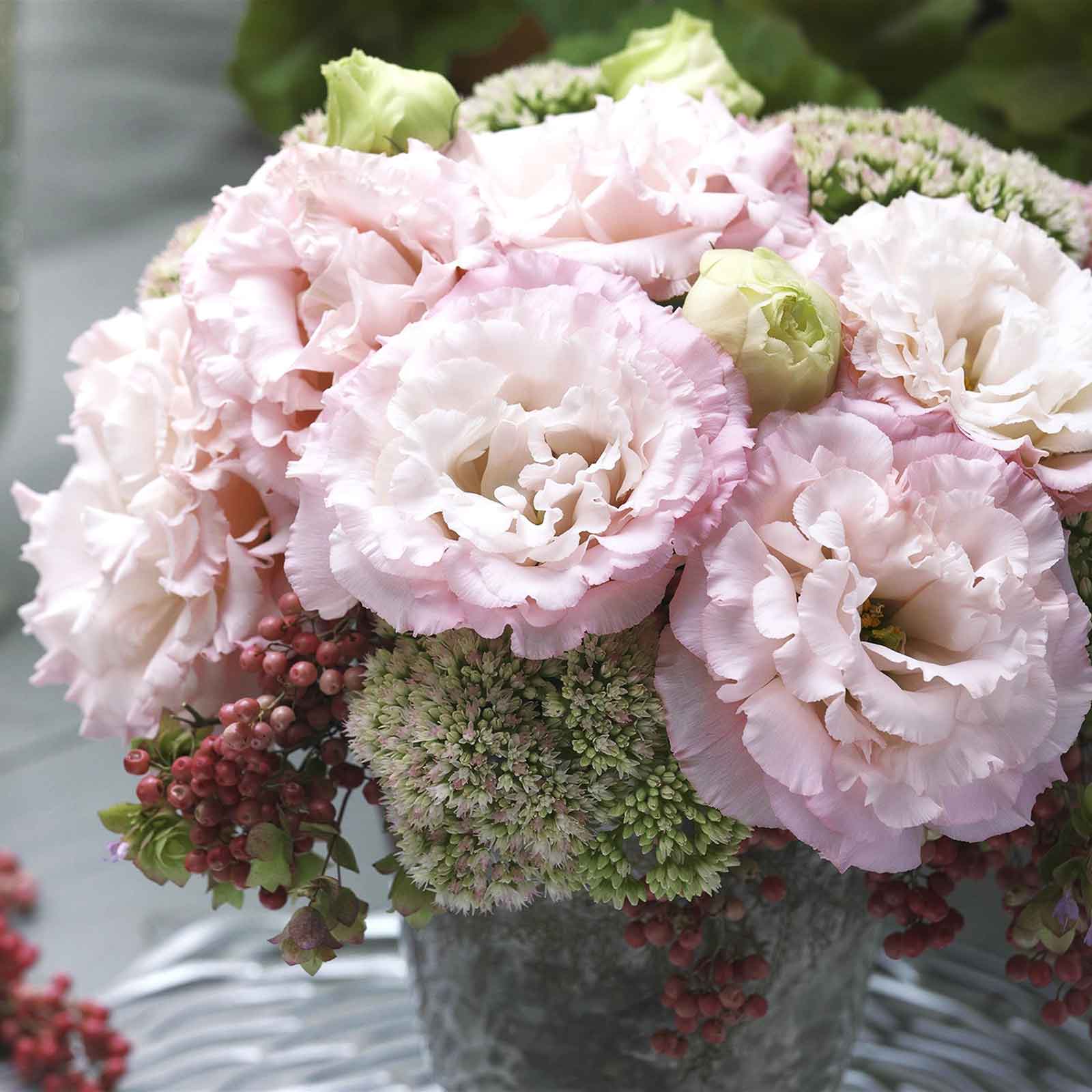 Lisianthus corelli peach soft peach ruffled blooms in a cluster on a muted backdrop.