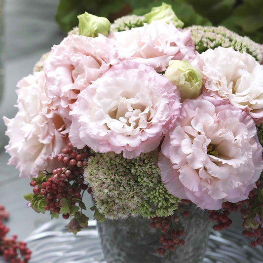 Lisianthus corelli peach soft peach ruffled blooms in a cluster on a muted backdrop.