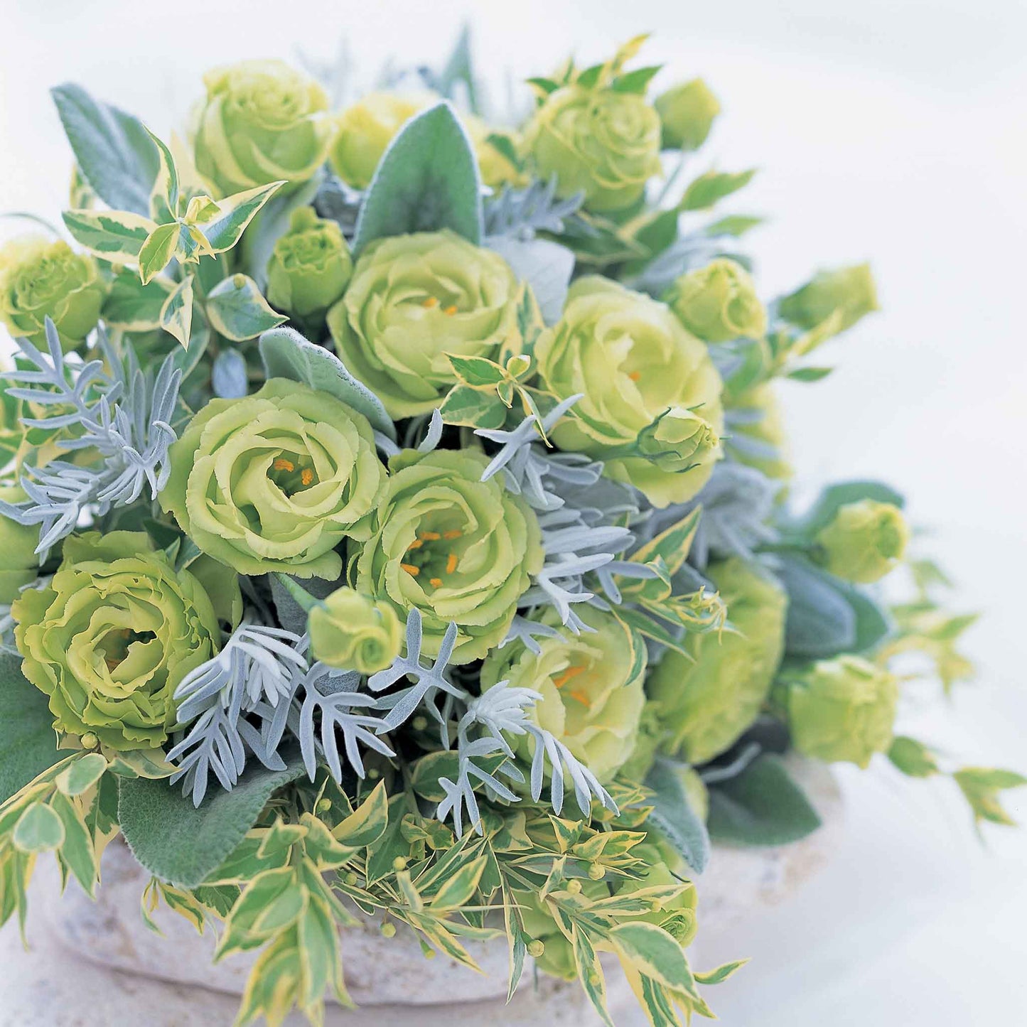 Lisianthus rosanne green light green ruffled blooms in a bouquet with soft green foliage.