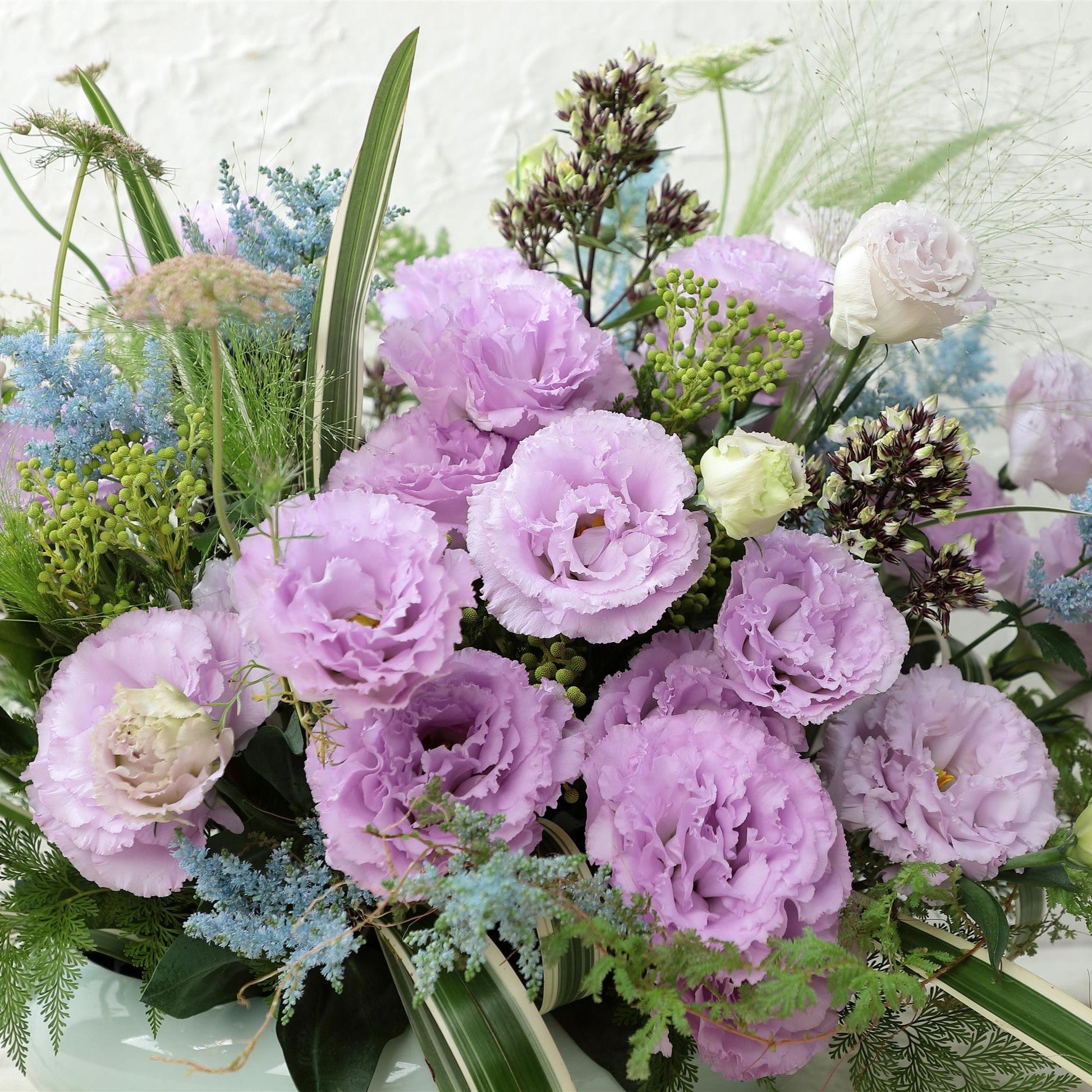 Lisianthus voyage lavender vibrant purple blooms with layered petals and green foliage.
