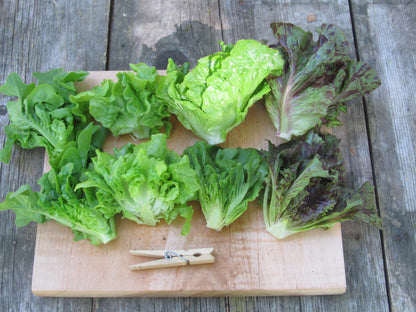 Sweet lettuce centers.