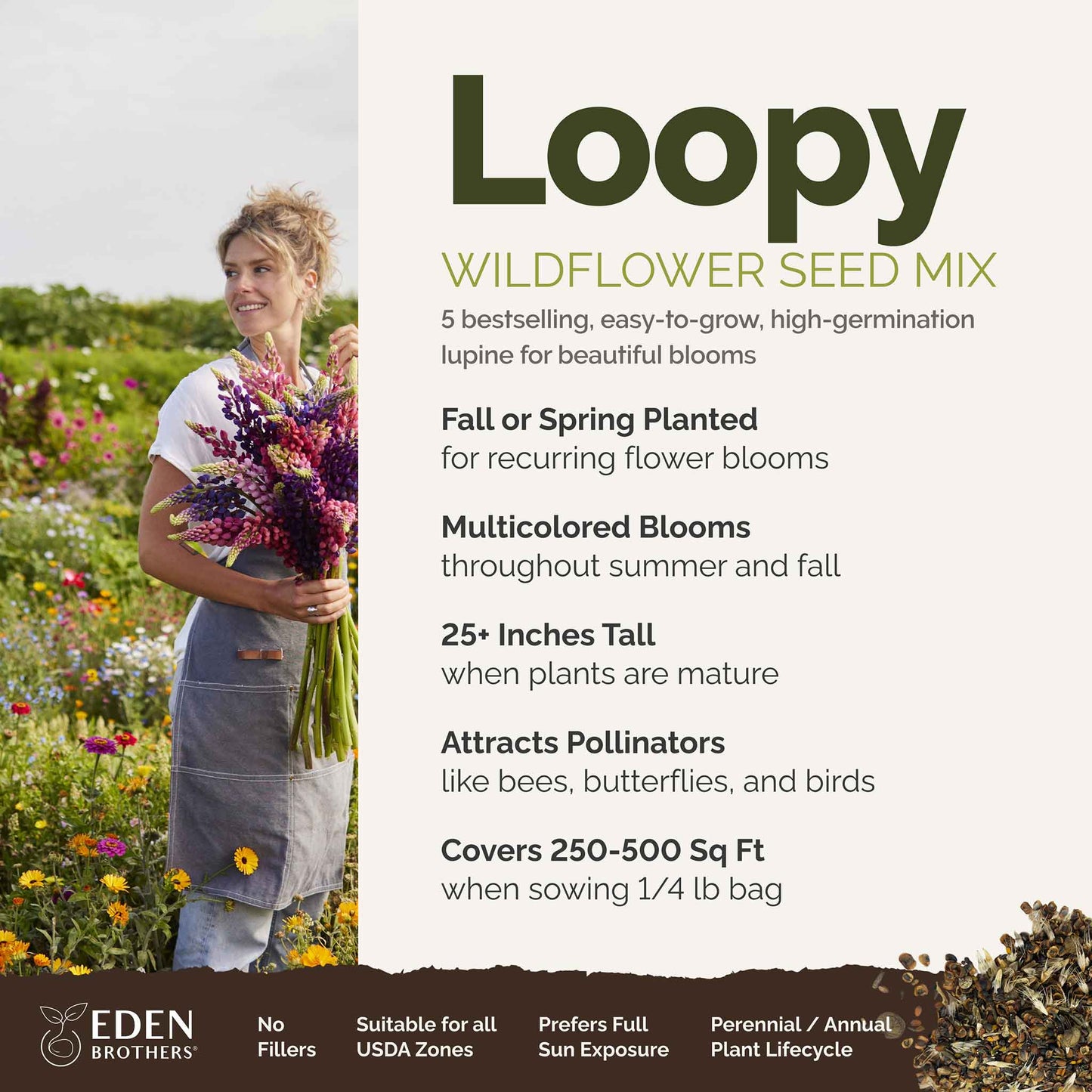 A visual overview of the wildflower seed mix, showcasing expected floral blooms.