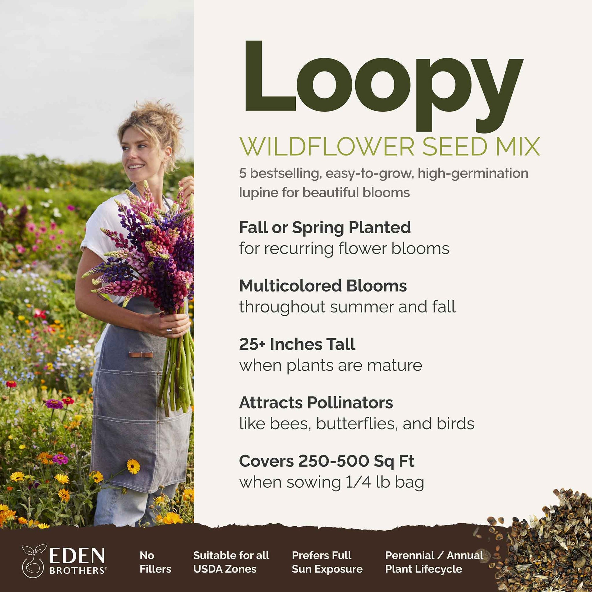 A visual overview of the wildflower seed mix, showcasing expected floral blooms.