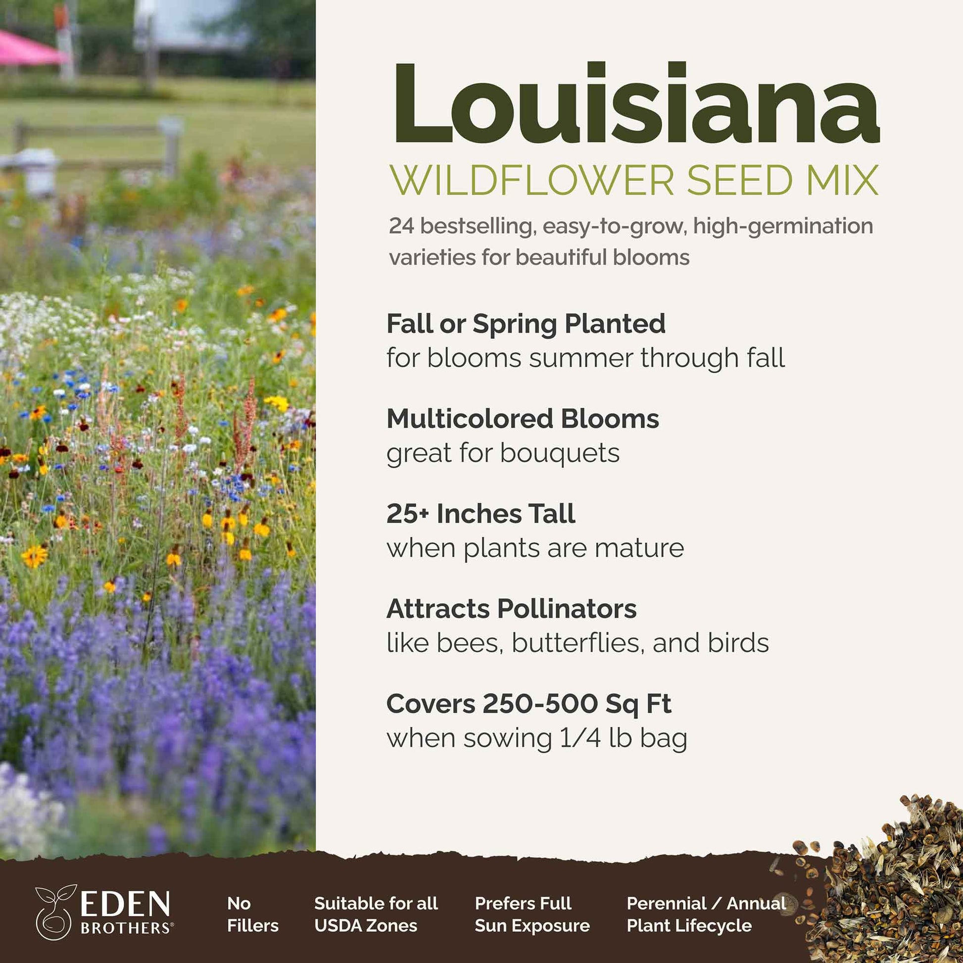 A visual overview of the wildflower seed mix, showcasing expected floral blooms.