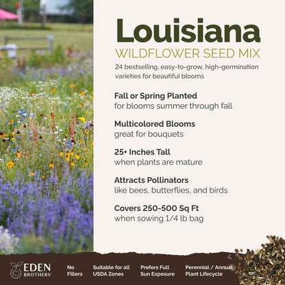 A visual overview of the wildflower seed mix, showcasing expected floral blooms.