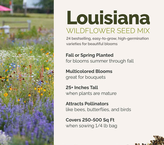 A visual overview of the wildflower seed mix, showcasing expected floral blooms.