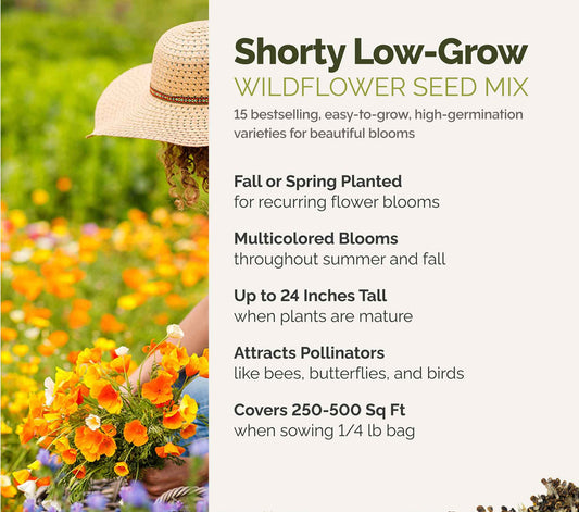 A visual overview of the wildflower seed mix, showcasing expected floral blooms.