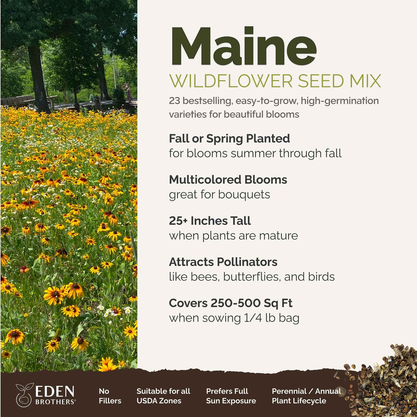 A visual overview of the wildflower seed mix, showcasing expected floral blooms.