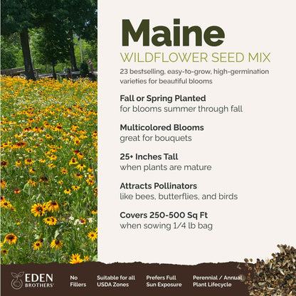 A visual overview of the wildflower seed mix, showcasing expected floral blooms.