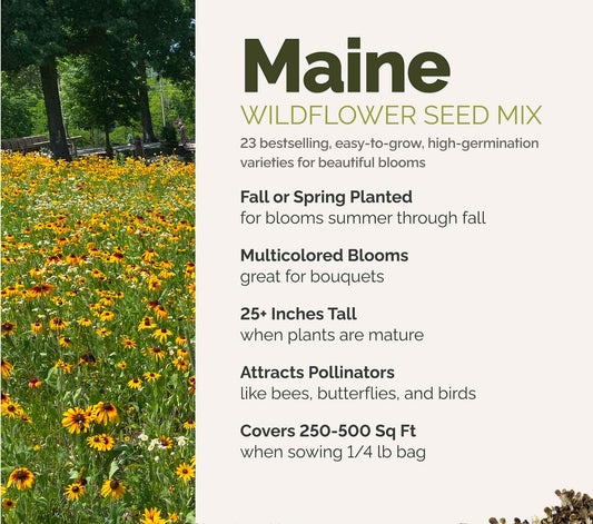 A visual overview of the wildflower seed mix, showcasing expected floral blooms.