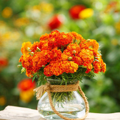 A vivid marigold Brocade Mix flower arrangement with ruffled orange and yellow petals, showcasing its rich, warm colors.