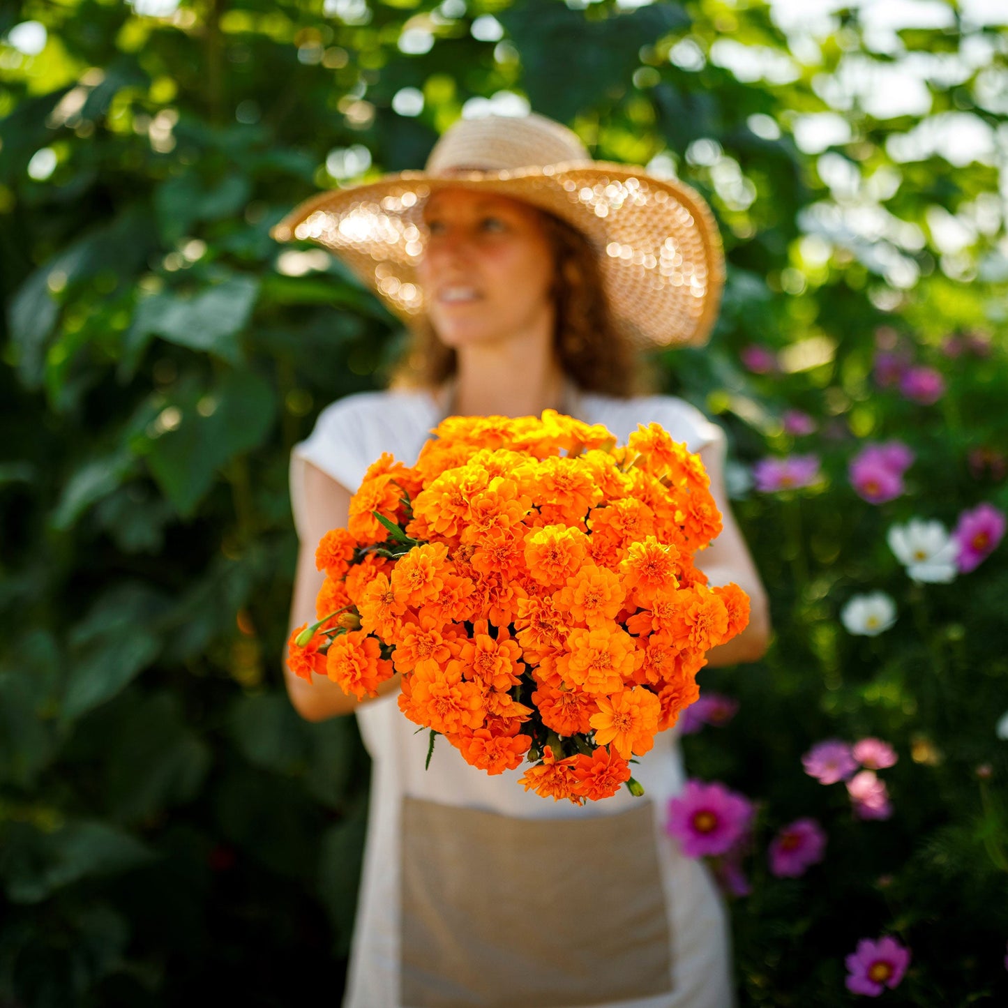 French marigold tangerine bright orange ruffled blooms with dark centers and green buds.