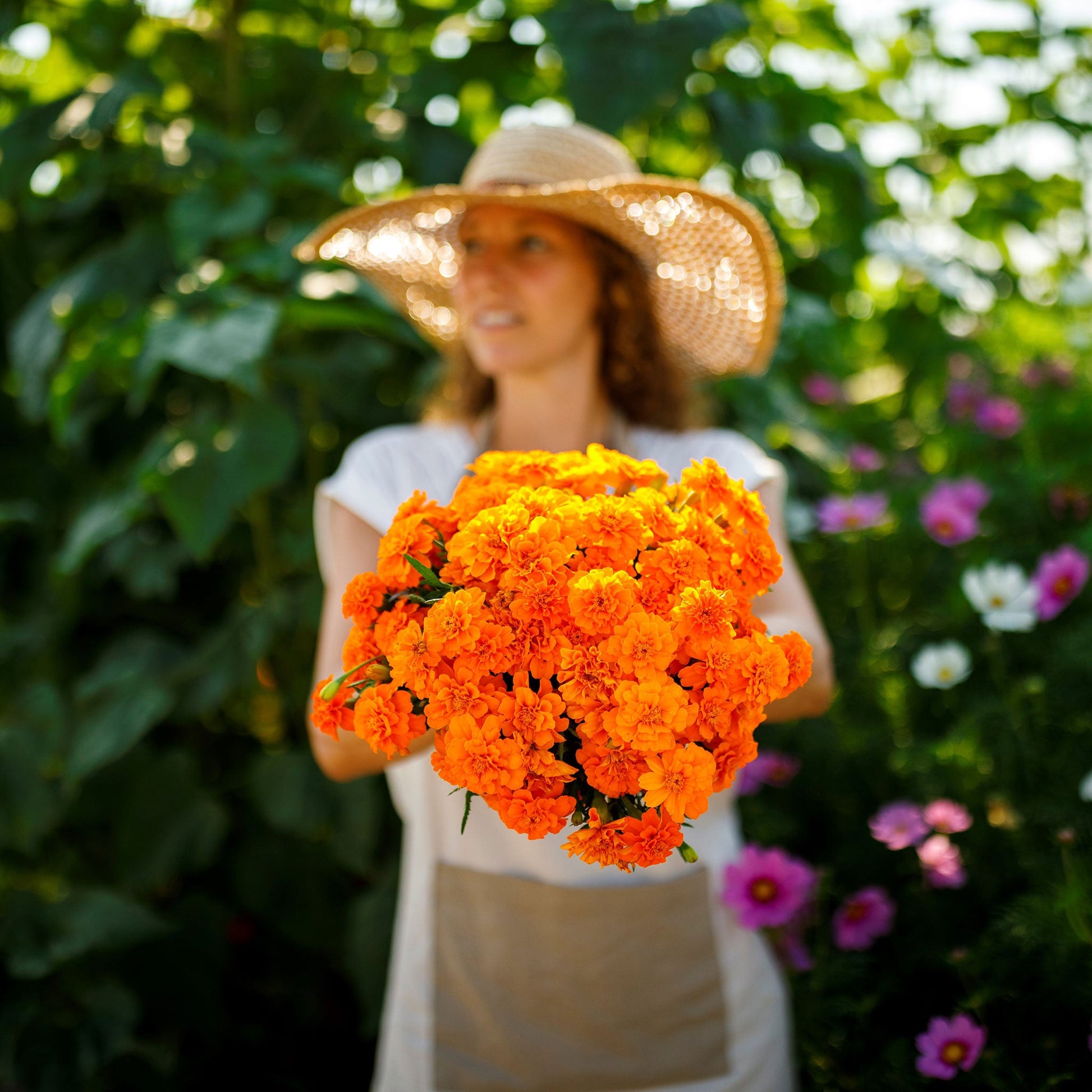 French marigold tangerine bright orange ruffled blooms with dark centers and green buds.