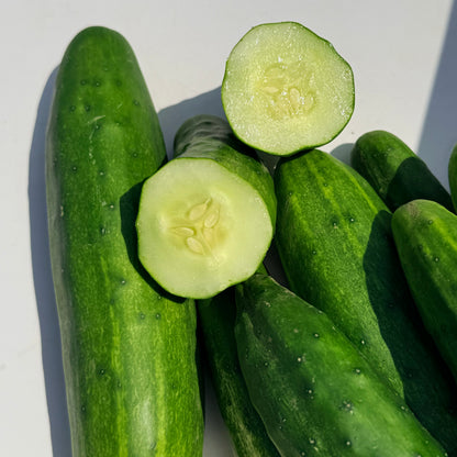 Marketmore 76 Cucumber