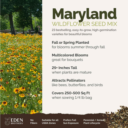 A visual overview of the wildflower seed mix, showcasing expected floral blooms.