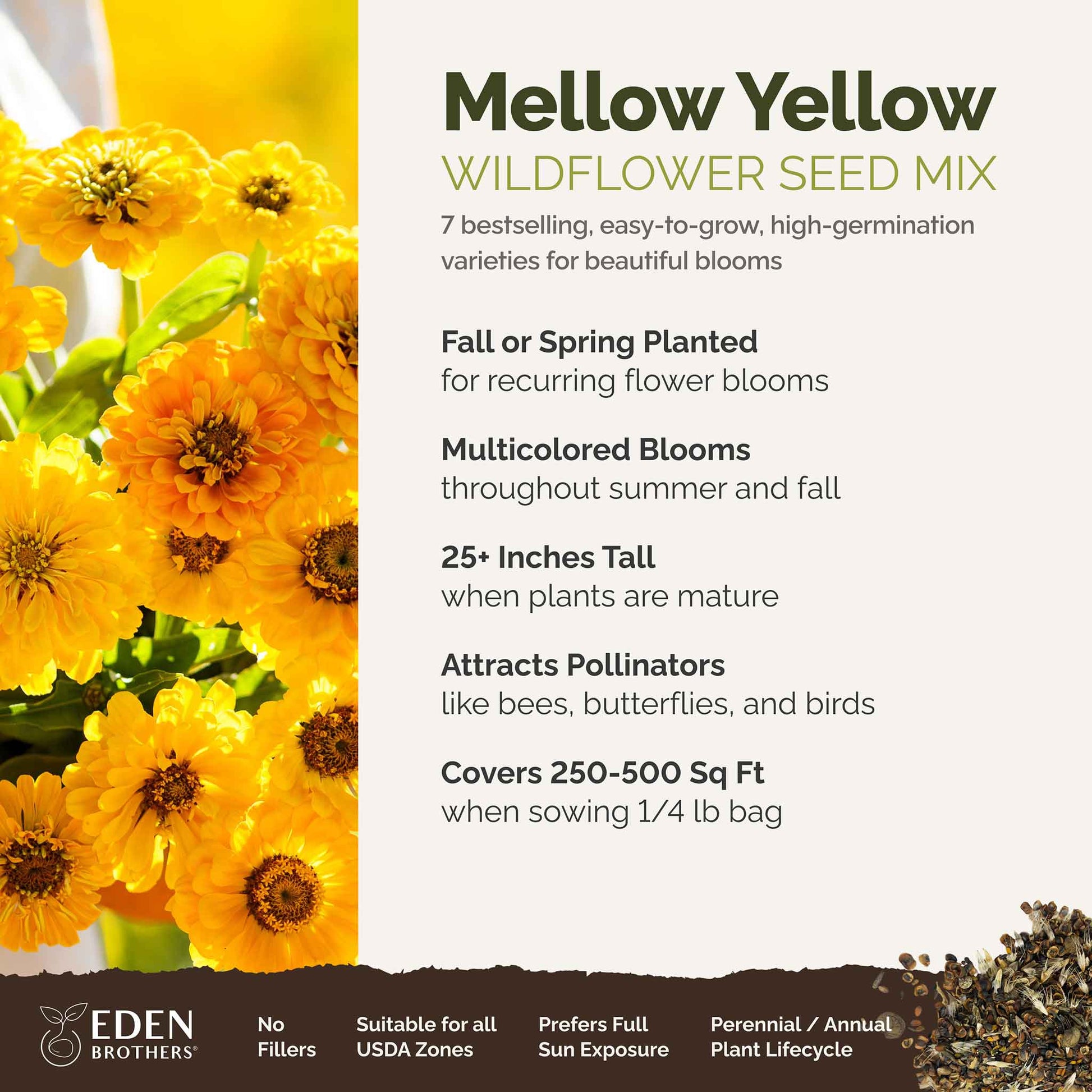 A visual overview of the wildflower seed mix, showcasing expected floral blooms.