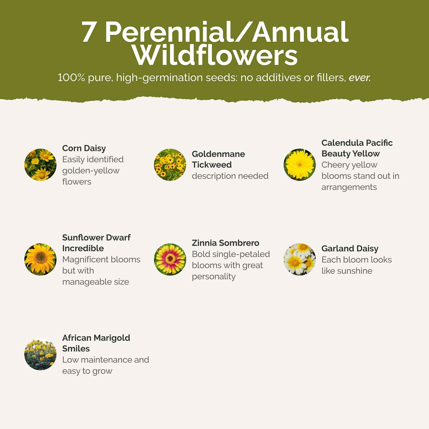 List of flower species and seeds included in the Wildflower Seed Mix.