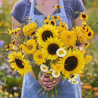 A bouquet of the variety of colors in the Mellow Yellow - Yellow Flower Seed Mix