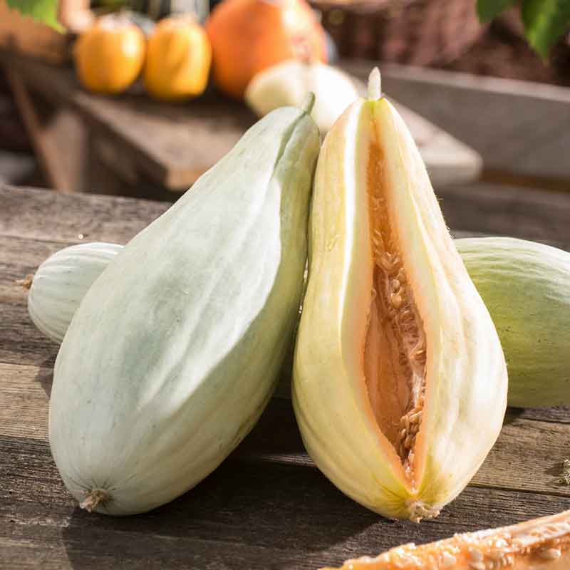A ripe, banana melon with a green stem sits next to a banana melon sliced open. | copyright: Floramedia UK Ltd