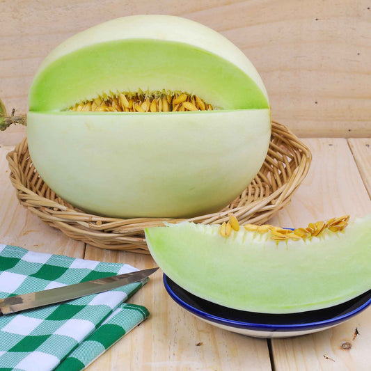 A vibrant green honeydew melon in a wicker basket with a slice cut out next to it showing green flesh and seeds.