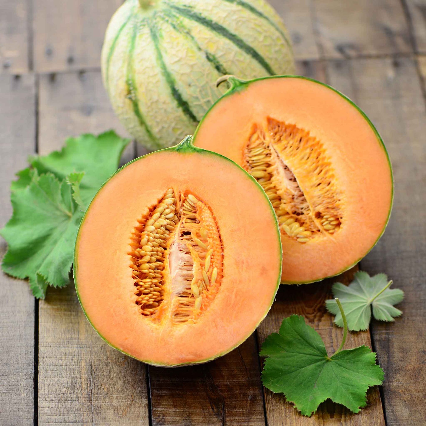 A honeydew orange melon cut in half showing its rows of seeds and vibrant orange flesh.