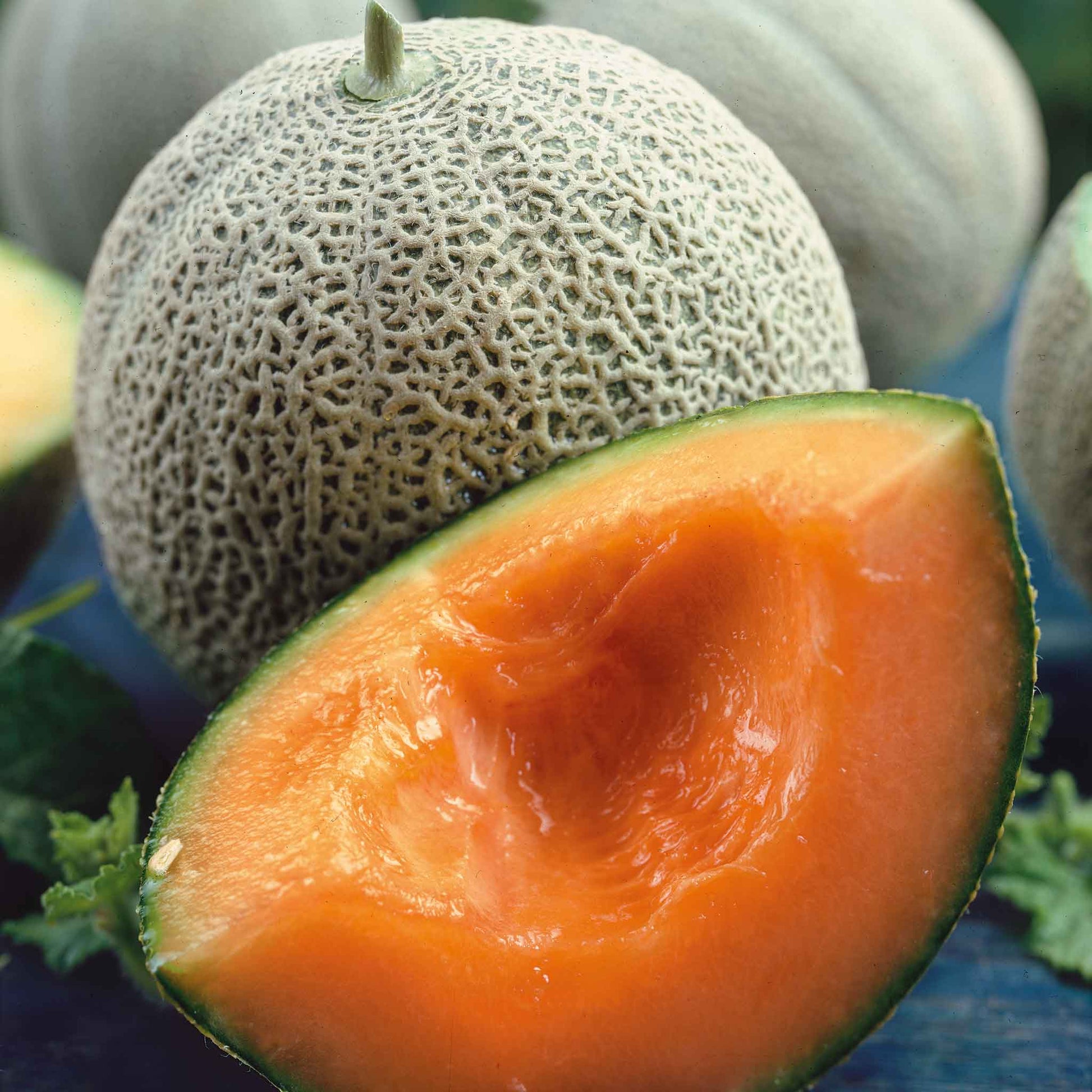 Close-up of a vibrant orange Honey Rock melon with a netted rind, perfectly ripe and ready for a sweet treat.