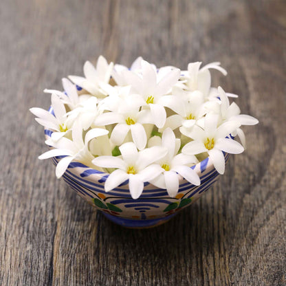  White mexican tuberose blooms in a decorative blue bowl on a rustic wooden surface.