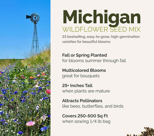 A visual overview of the wildflower seed mix, showcasing expected floral blooms.