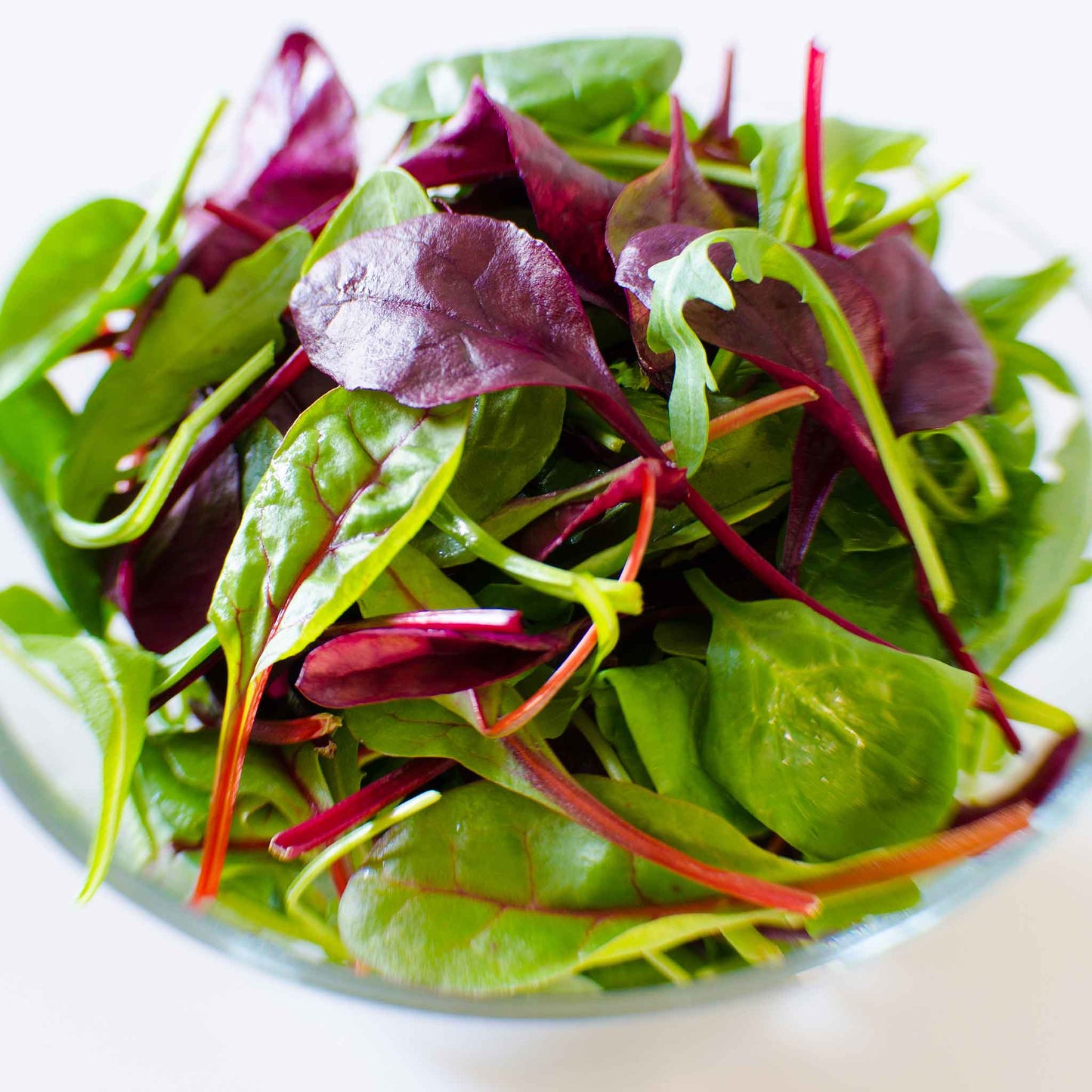 A bowl of Microgreen Rainbow Blend leaves ready to eat.