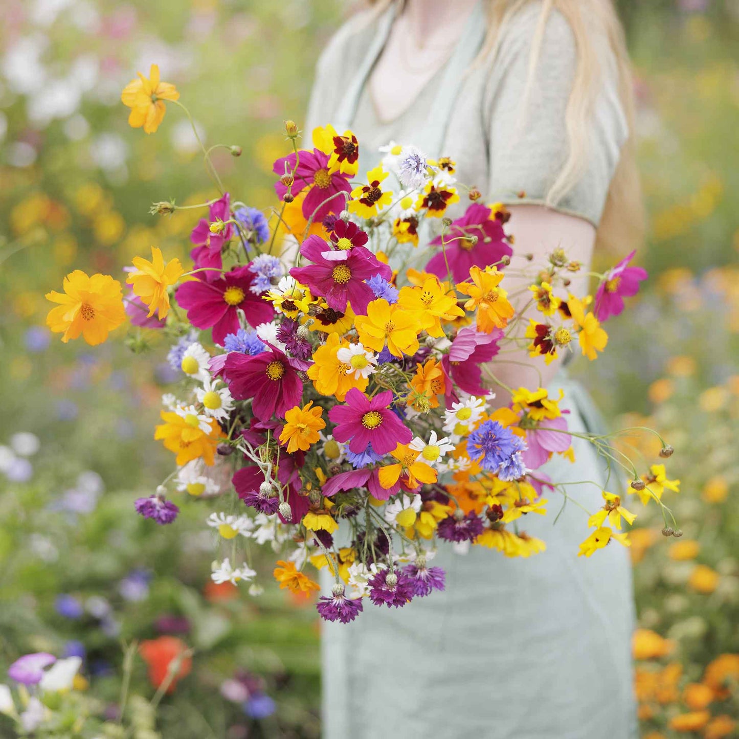 A bouquet of the variety of colors in the Midwest Wildflower Seed Mix