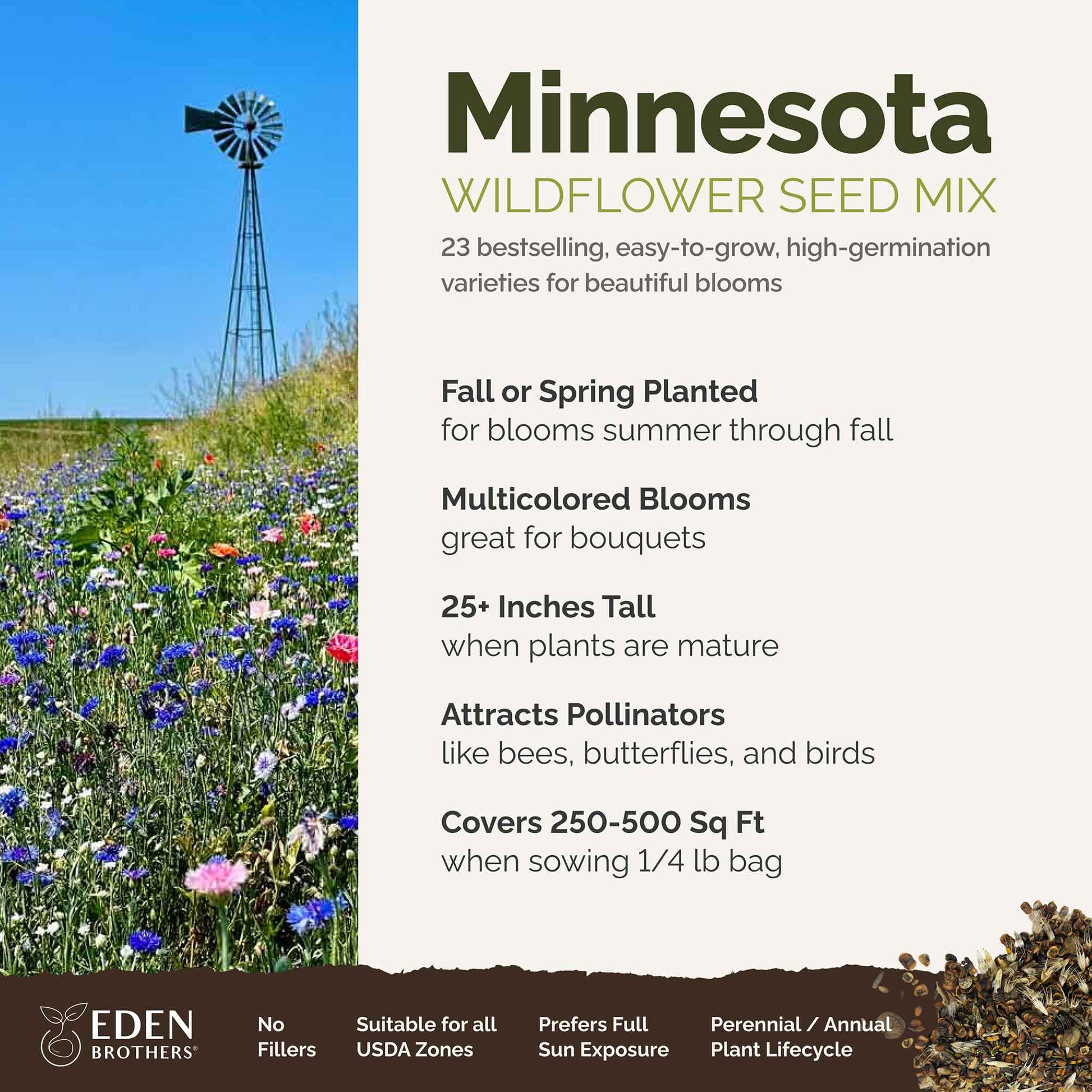 A visual overview of the wildflower seed mix, showcasing expected floral blooms.