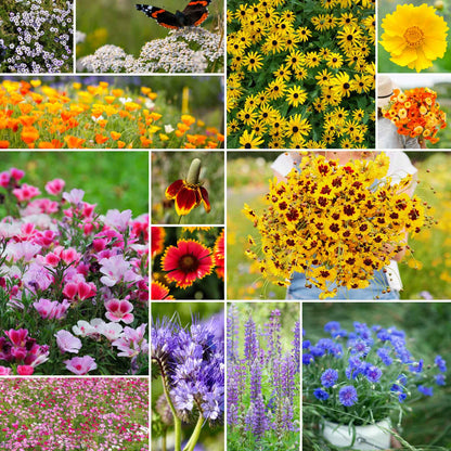 A grid graphic showing the bloomed contents of Bird & Butterfly Wildflower Seed Mix