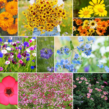 A grid graphic showing the bloomed contents of Country Garden Flower Seed Mix