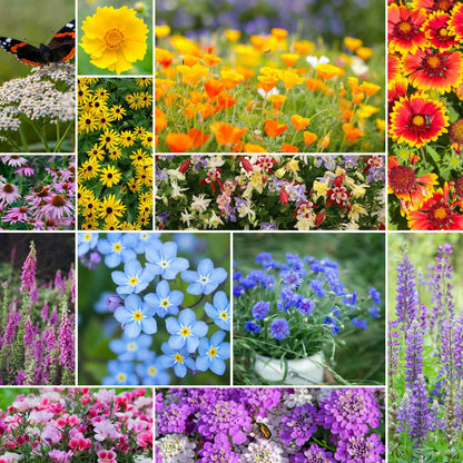 A grid graphic showing the bloomed contents of Deer Resistant Wildflower Seed Mix