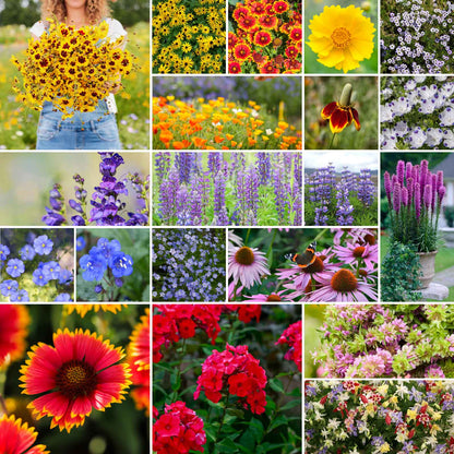 A grid graphic showing the bloomed contents of Native North American Wildflower Seed Mix