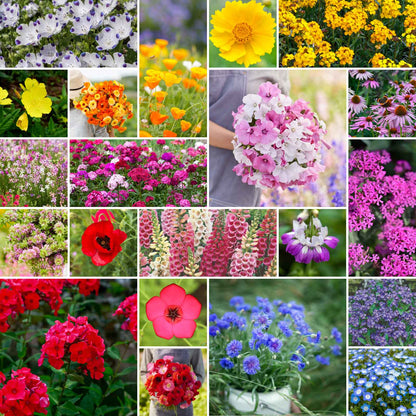 A grid graphic showing the bloomed contents of Partial Shade Wildflower Seed Mix