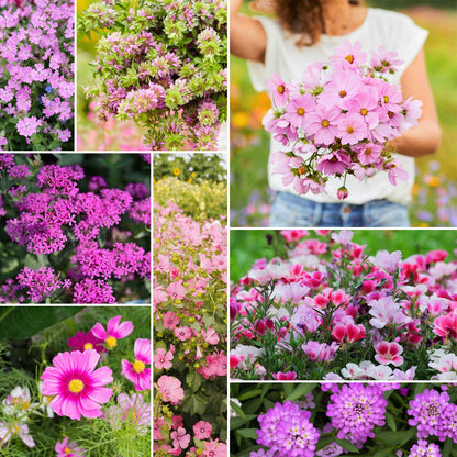 A grid graphic showing the bloomed contents of Pretty In Pink - Exclusive Pink Wildflower Seed Mix