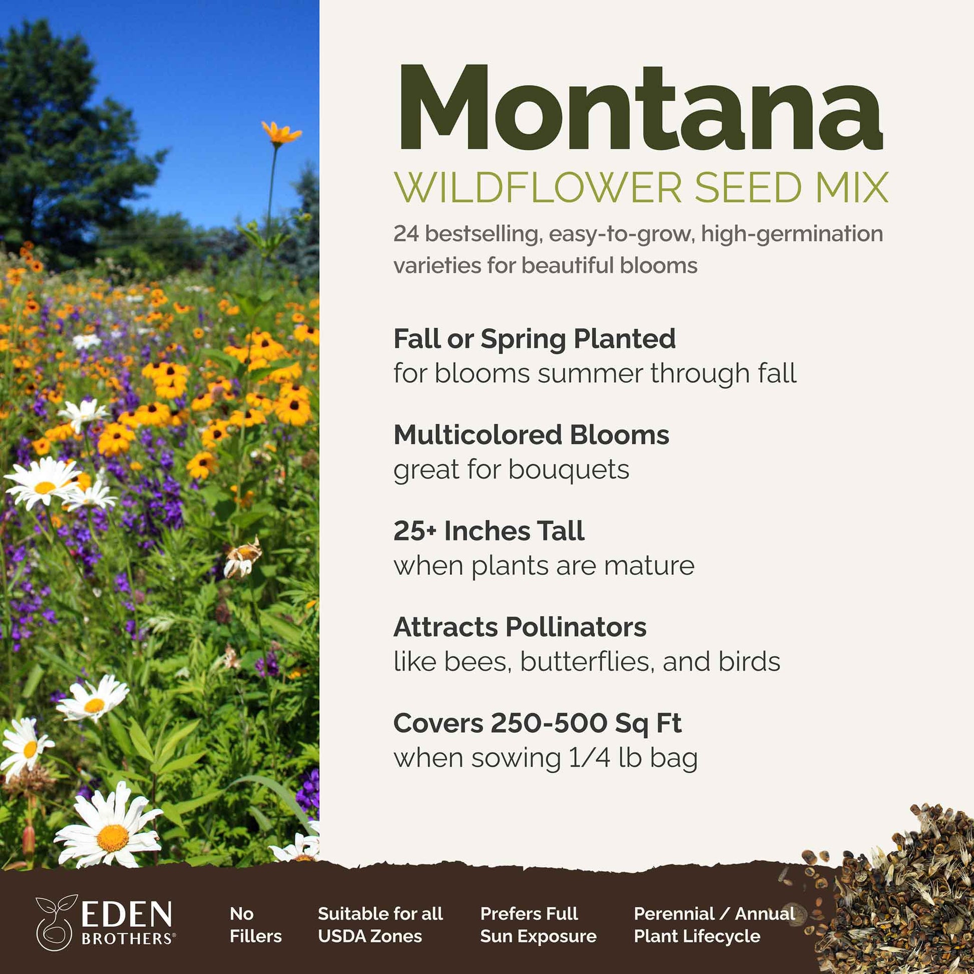 A visual overview of the wildflower seed mix, showcasing expected floral blooms.