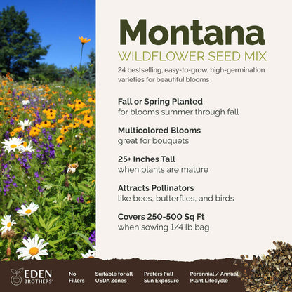 A visual overview of the wildflower seed mix, showcasing expected floral blooms.