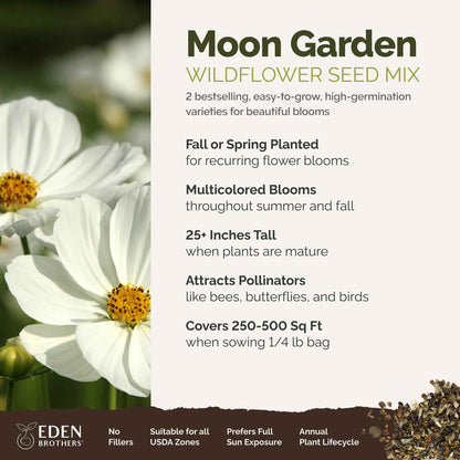 A visual overview of the wildflower seed mix, showcasing expected floral blooms.
